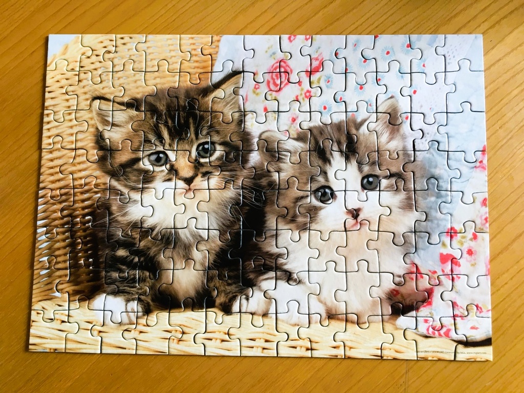 Chats dans une panière 100p - NATHAN 