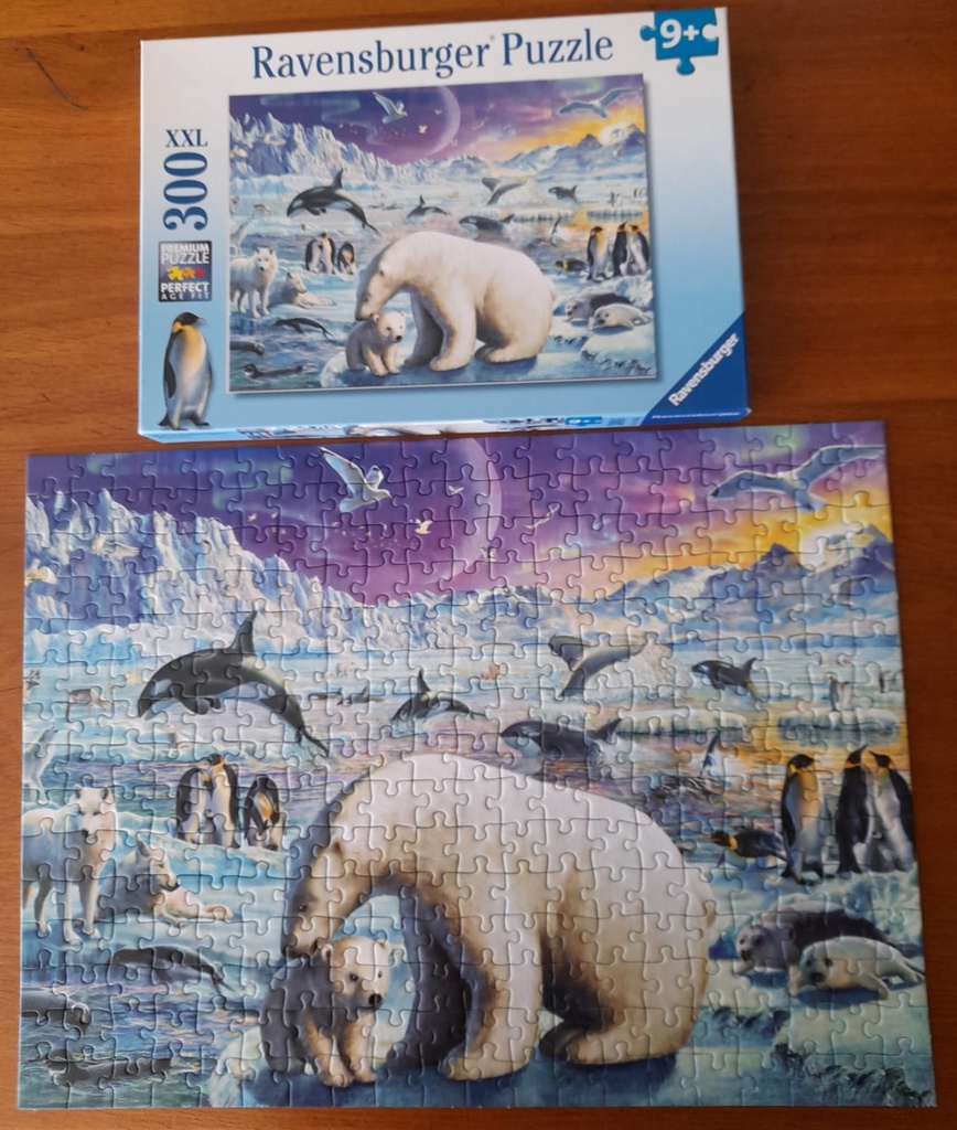 Puzzle "A la rencontre des animaux polaires"300p - RAVENSBURGER 