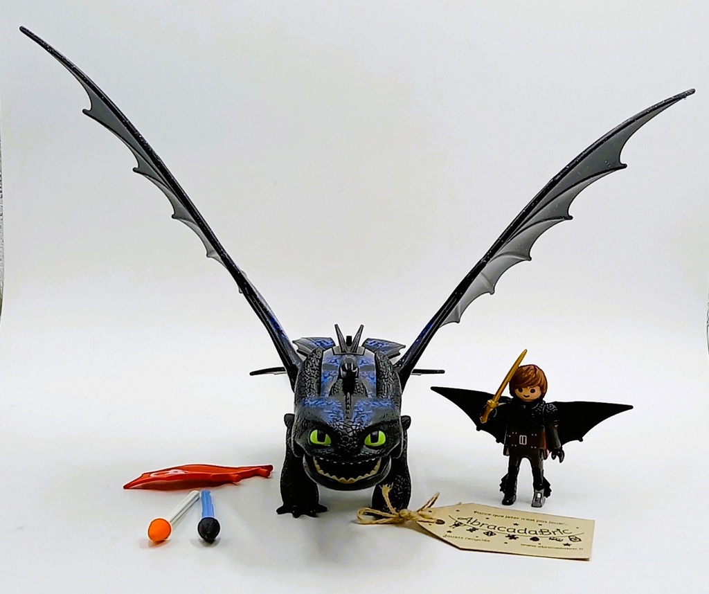 Dragon Krokmou et Harold- PLAYMOBIL