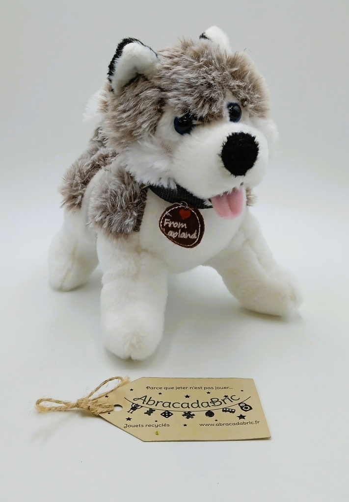  Husky peluche 22 cm