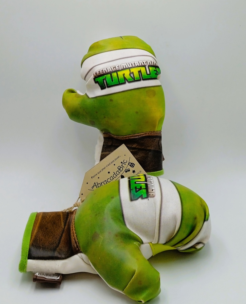 Gants de boxe Tortues Ninja