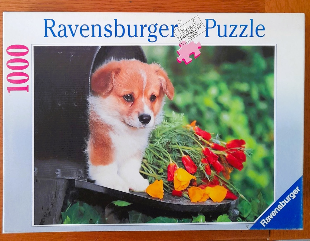 Puzzle chiot dans la boite aux lettres -1000p - RAVENSBURGER 