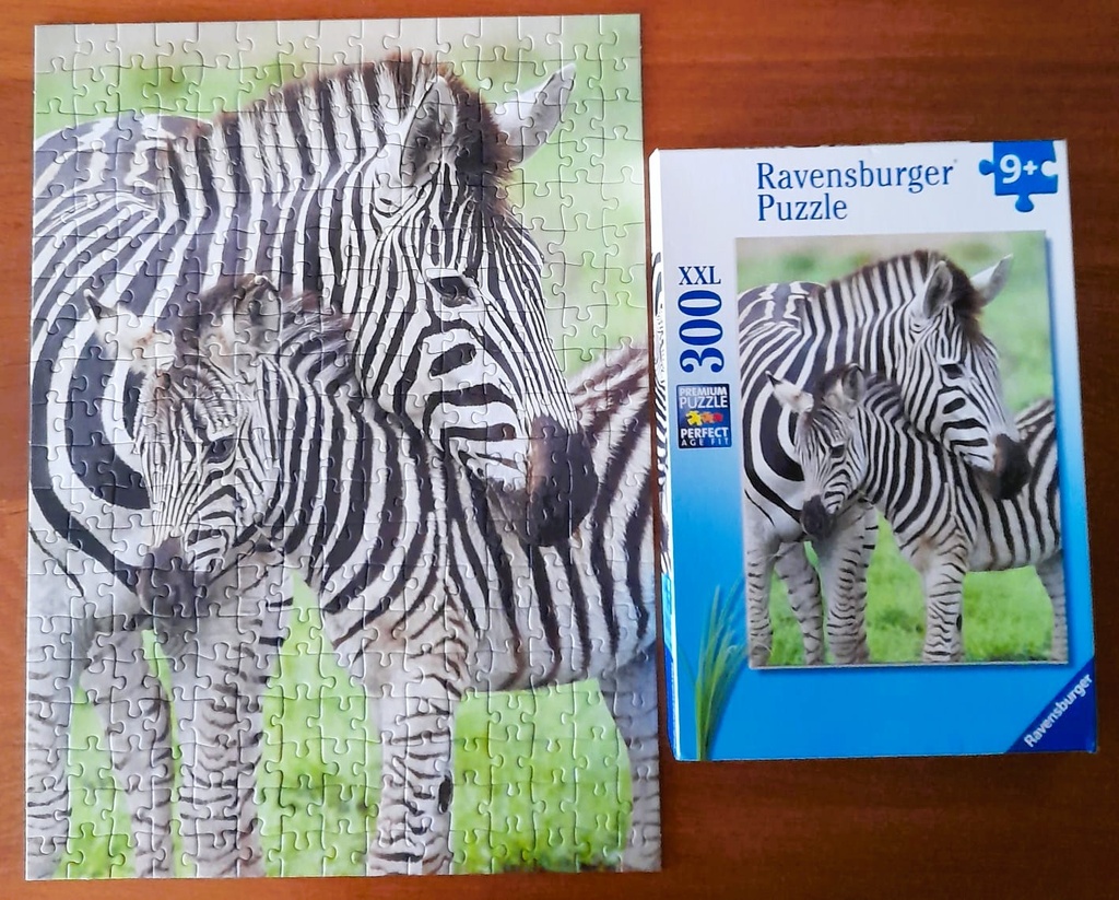 Puzzle "mes zèbres préférés" - 300p - RAVENSBURGER  