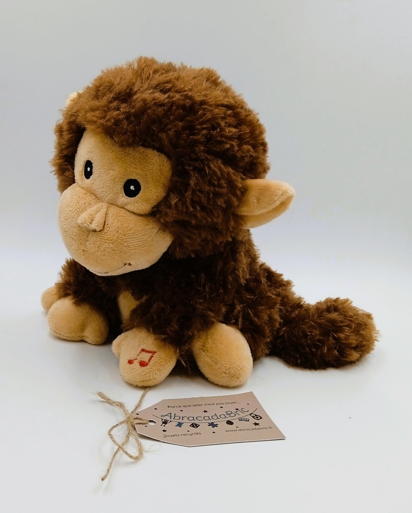 Coco le singe - ZD TRADiNG