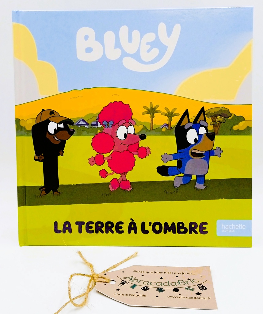 HACHETTE "La terre à l'ombre" BLUEY