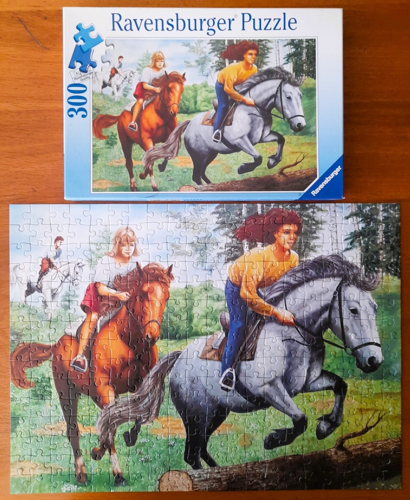 Puzzle "promenade équestre" 300p - RAVENSBURGER  
