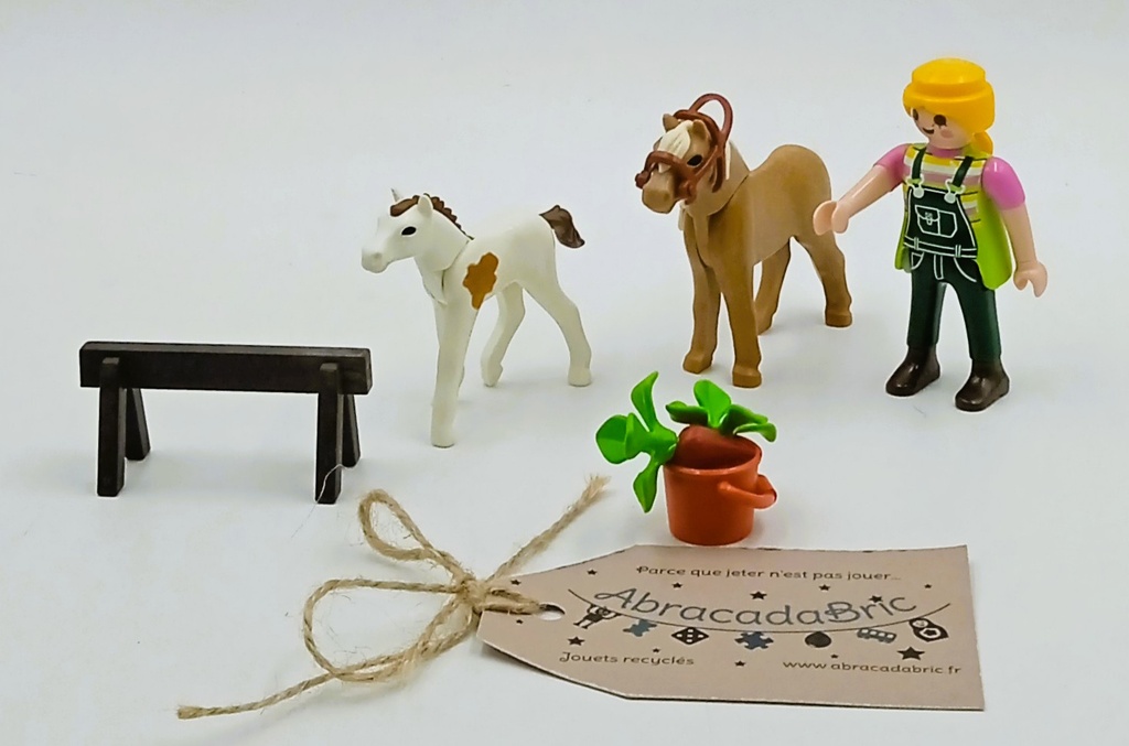 Cavalier et ses chevaux - PLAYMOBiL  