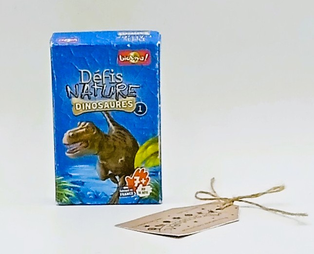Défis Nature dinosaures - BiOViVA   