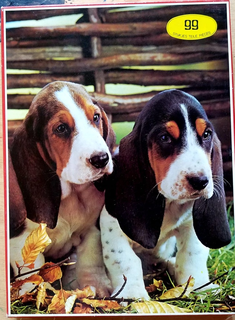 puzzle hush puppies 99 pièces - TiER