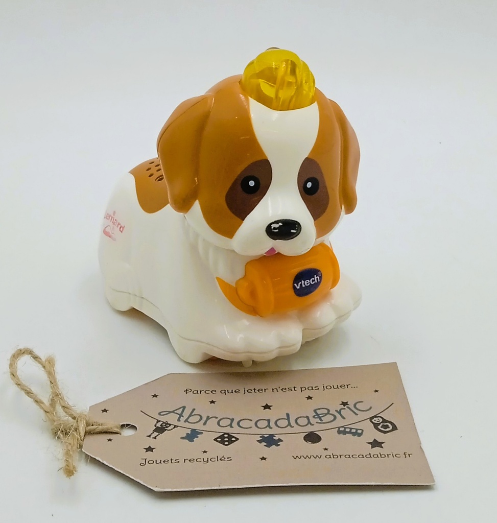 Tut tut animo, Bernard le chiot montagnard - VTECH  