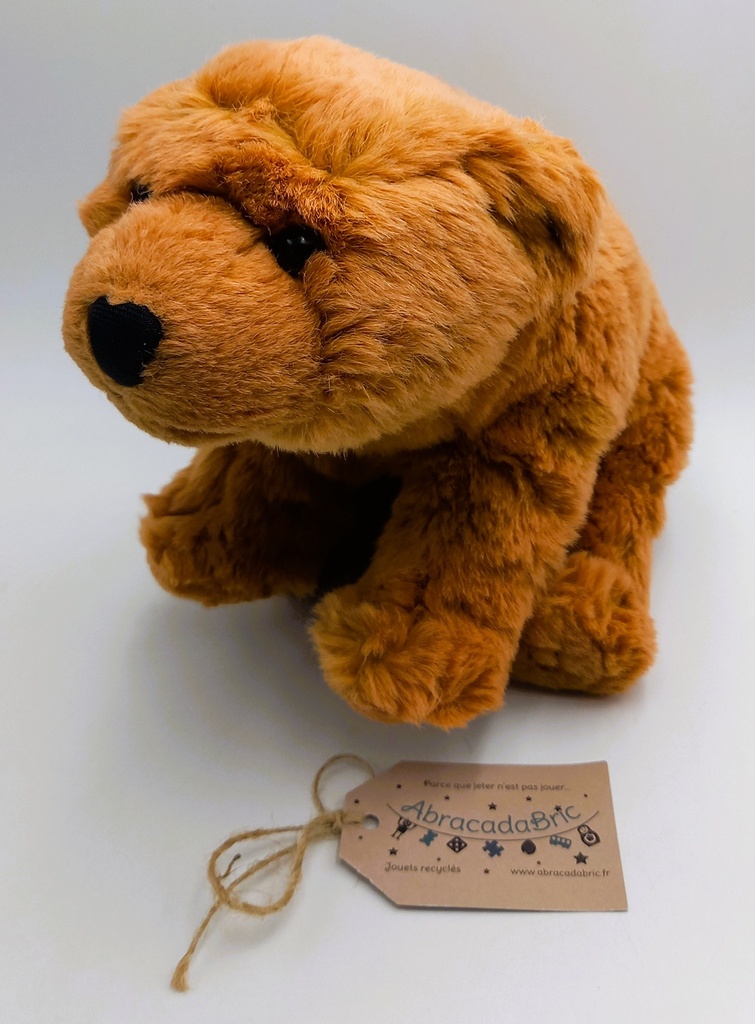 Peluche ours 