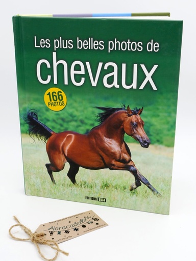 Les plus belles photos de chevaux - ESi