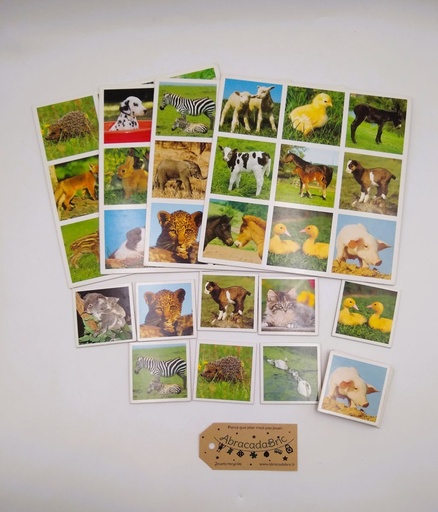 Loto des Animaux familiers - NATHAN