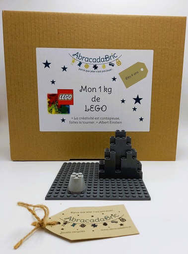 Mon 1kg de LEGO 
