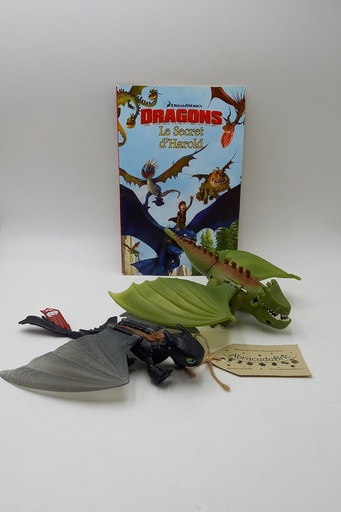 Figurines dragons et livre - DWALC