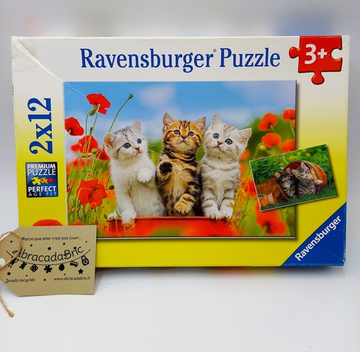 Puzzle "La découverte des chats" 2x12p - RAVENSBURGER 