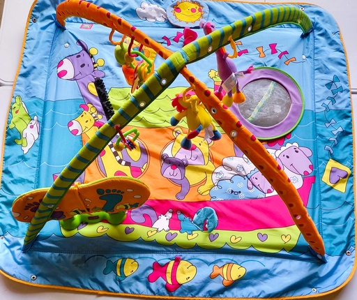 Tapis d'éveil sensoriel 85cmX85cm - TiNY LOVE 