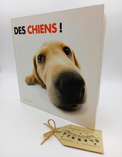 Livre "Des chiens" - MARABOUT