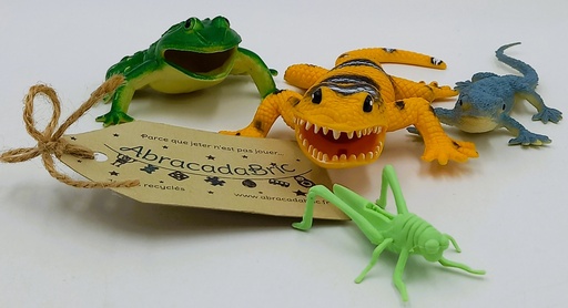 Lots x4 insectes et batraciens