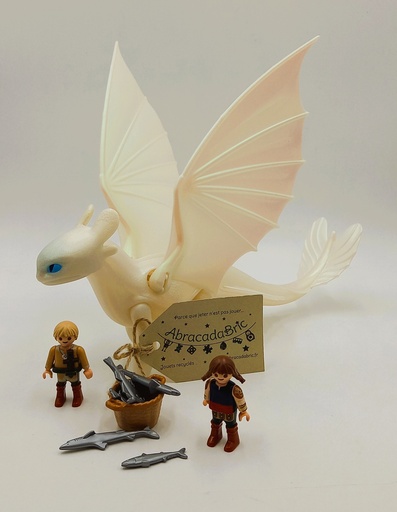 Furie éclair et ses amis vikings n°70038 - PLAYMOBIL  