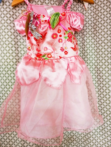 Robe princesse 3-4 ans 