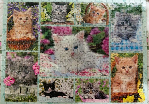 Puzzle Chatons dans leurs corbeilles 500p - RAVENSBURGER 