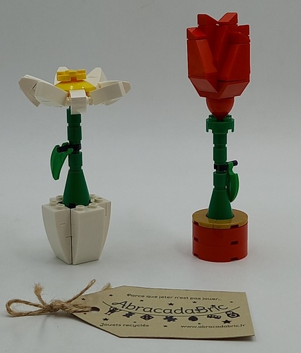 Fleurs - LEGO 40187