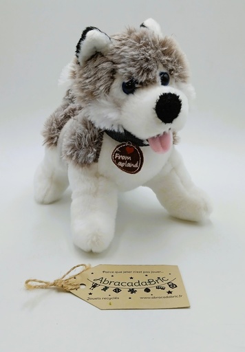  Husky peluche 22 cm