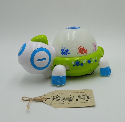 Tortue musicale : Little Learner Walk n Glow HAP-P-KiD TOYS