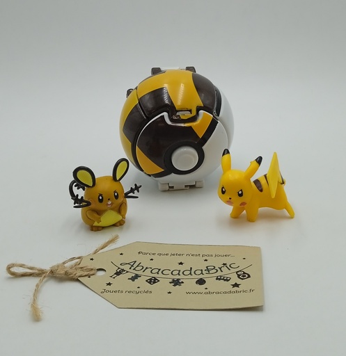 Pokeball noire et pokémons : Pikachu et Dedenne