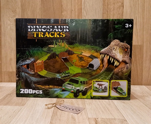 Dinosaur tracks