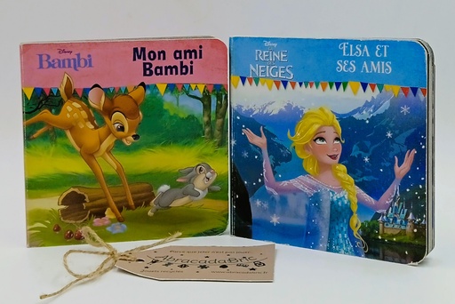 Lot 2 livres cartonnés Bambi et la Reine des neiges - DiSNEY 