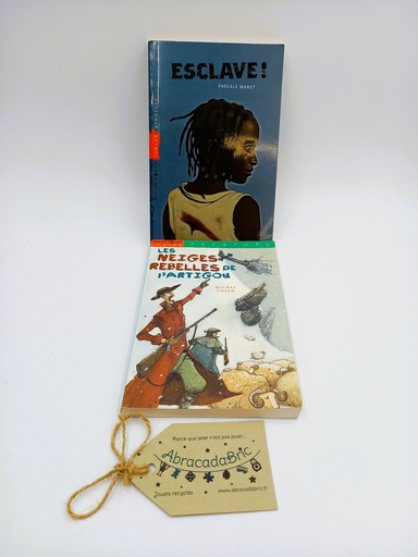 Lot x2 "Esclave" et "Les neiges rebelles de l'artigou" - MiLAN    