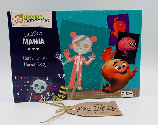 Corps humain - AVENUE MANDARiNE  