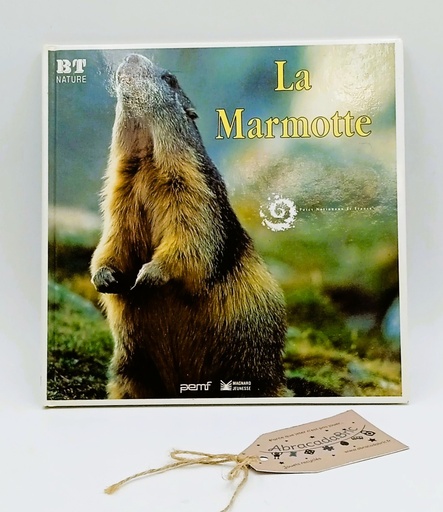 La marmotte - PEMF  