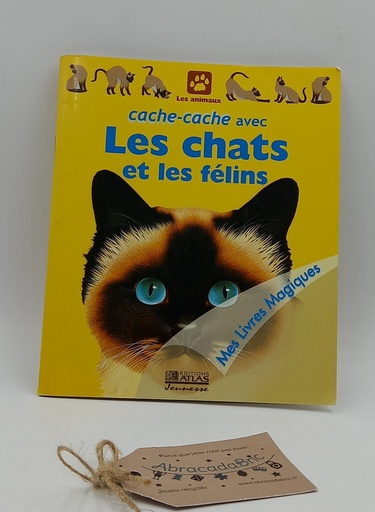  Cache cache avec les chats et les félins - GALLiMARD
